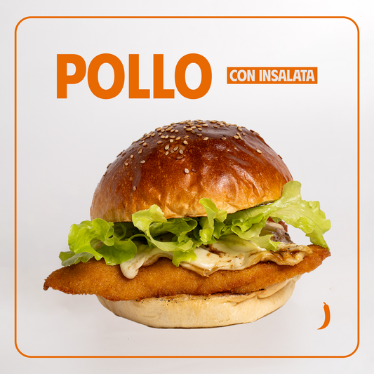 POLLO E INSALATA